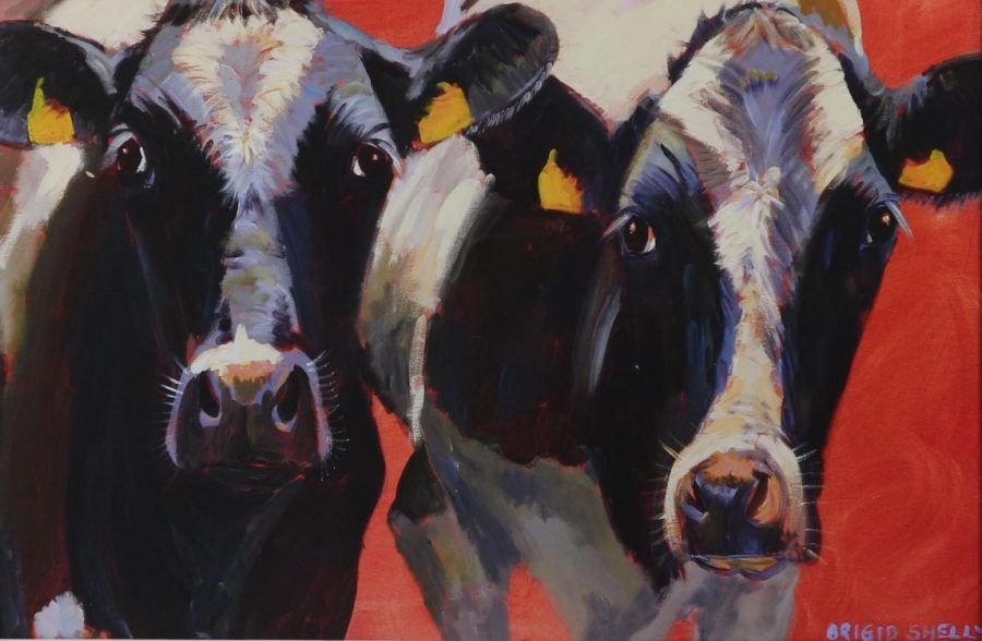 Red Friesians