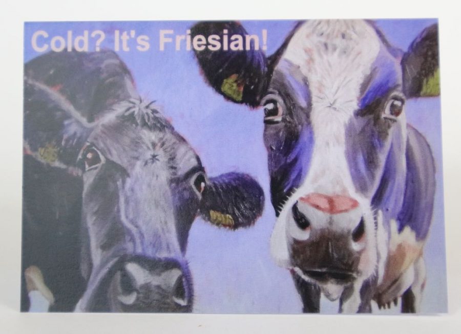 Card - Cold?.....It's Friesian...