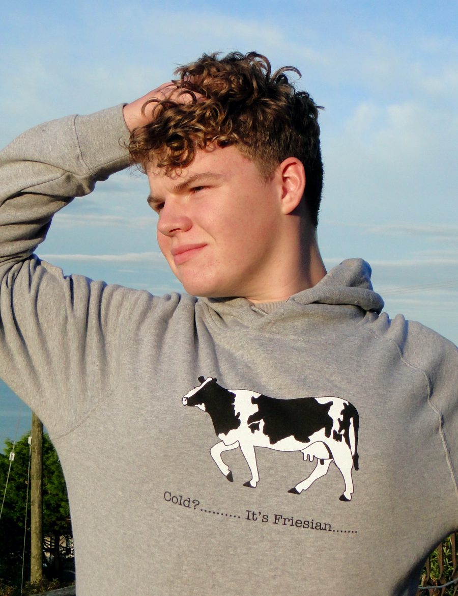 Hoody - Friesian