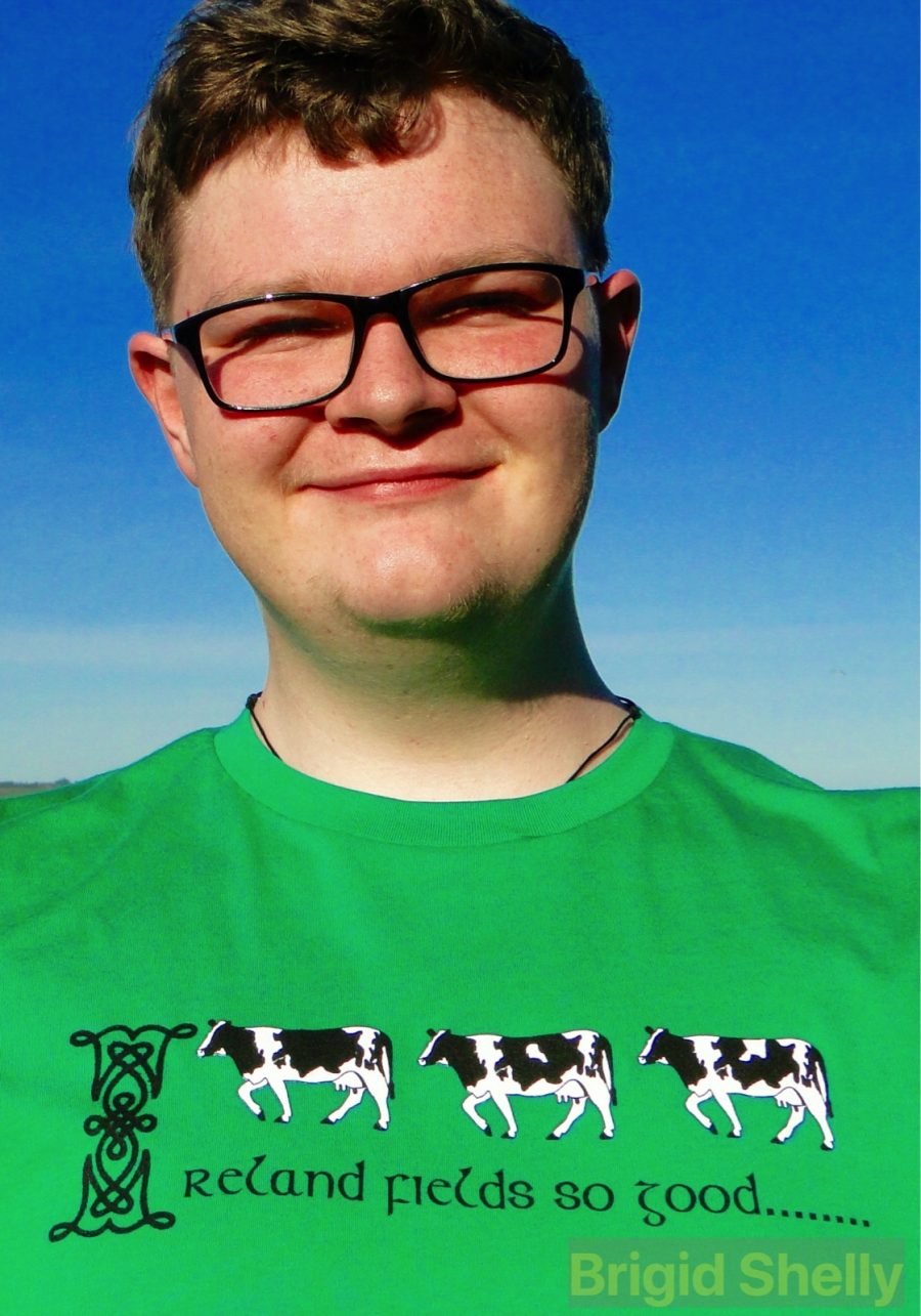 T-Shirt: Ireland Fields So Good
