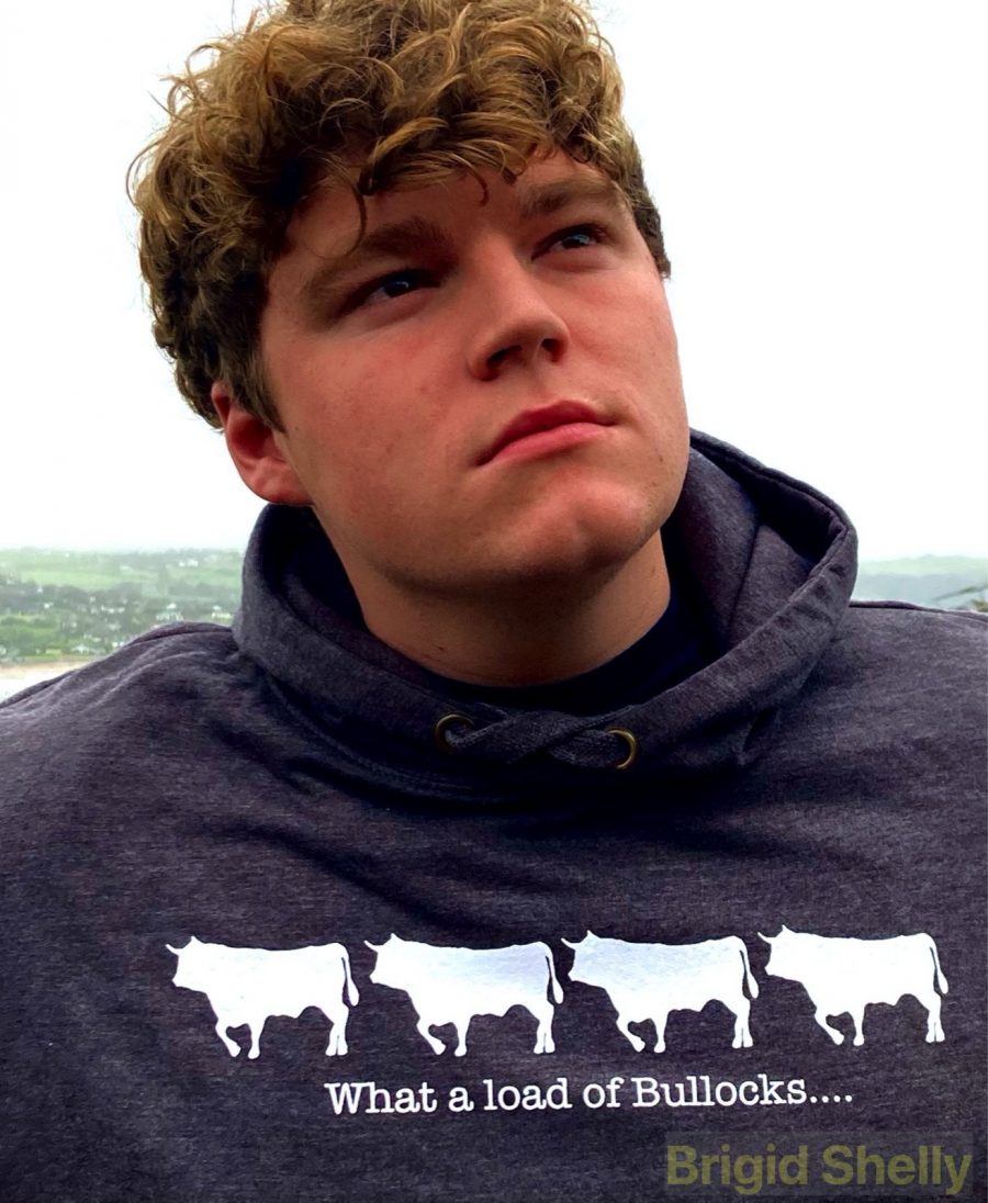 Hoody: Bullocks - Image 2