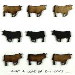 Cowlectibull - Bullocks