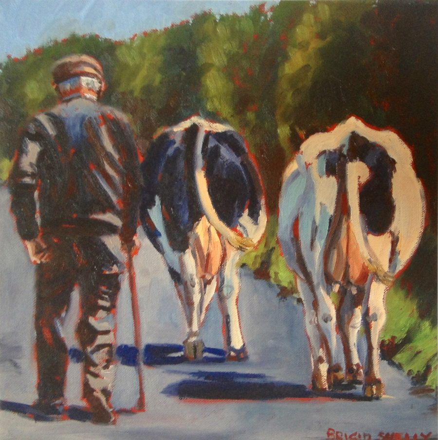 Ned & Cows