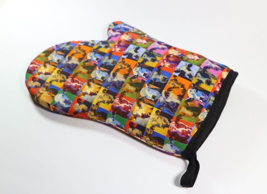 Single Oven Mitt - small squares