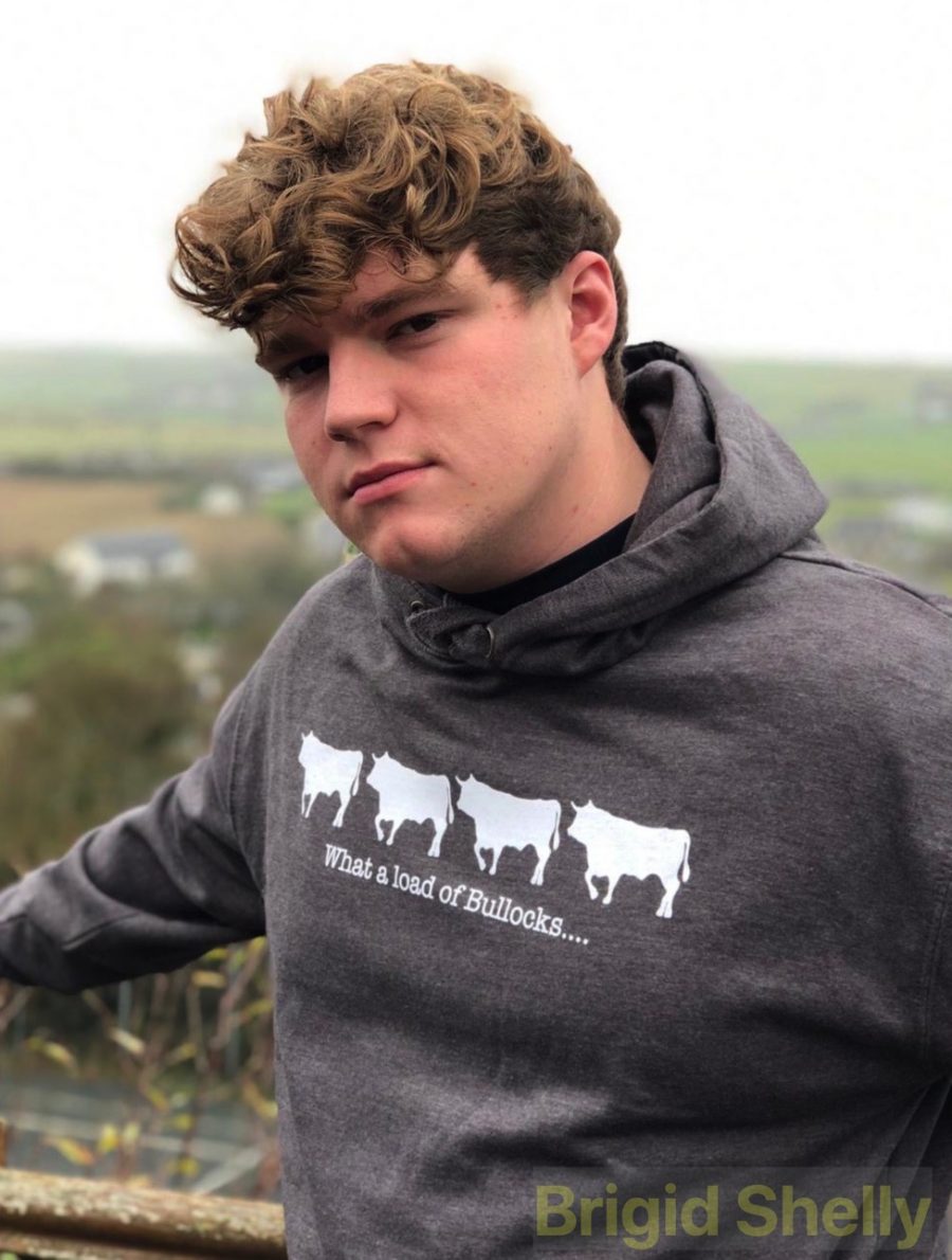 Hoody: Bullocks