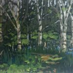 Birch Copse