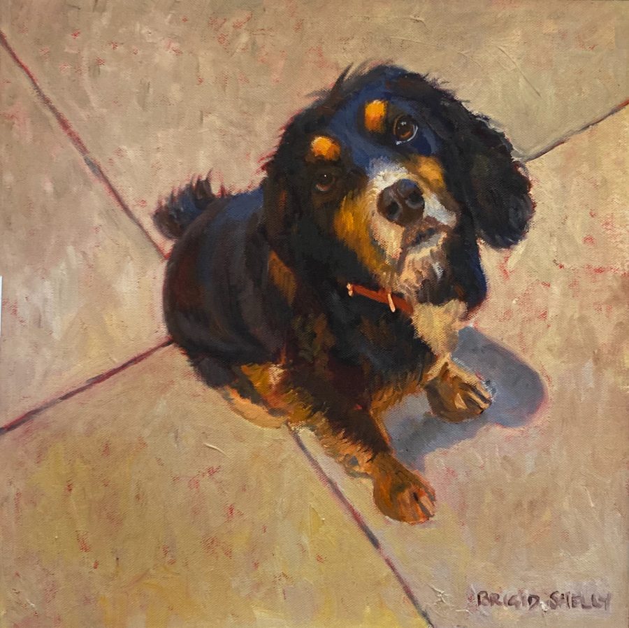 Cavalier